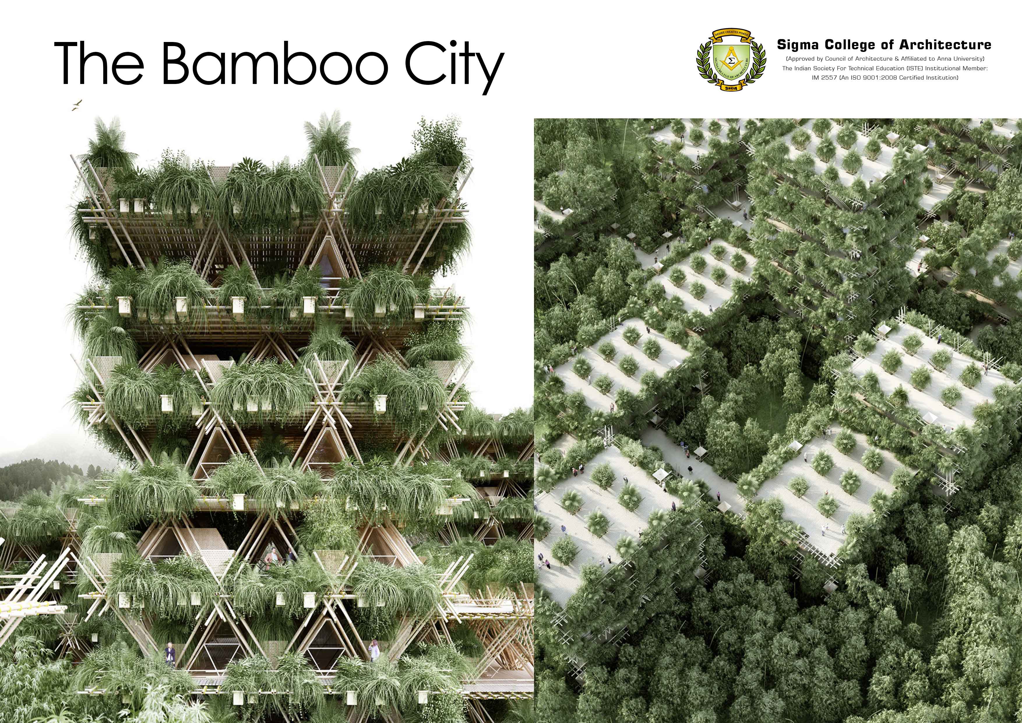 The Bamboo City