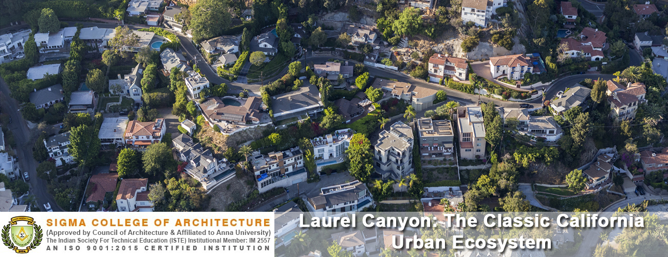 Laurel Canyon: The Classic California Urban Ecosystem