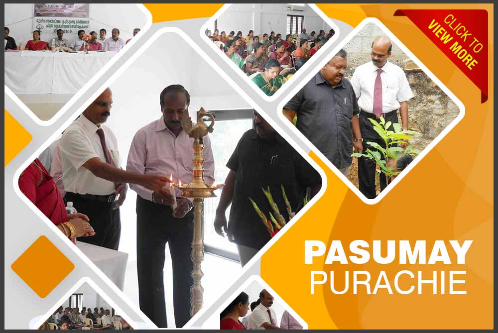 Pasumay purachie